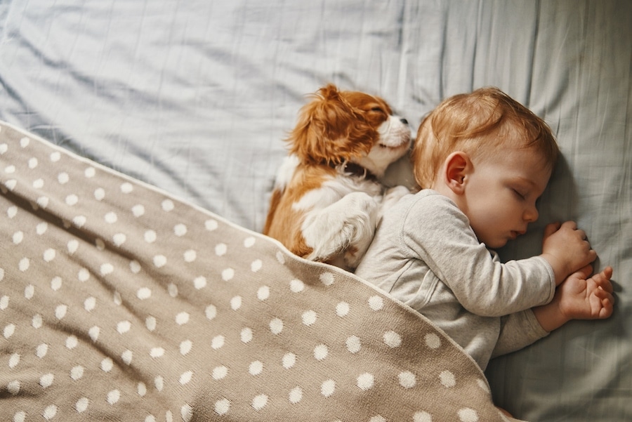 Baby and dog sleeping in great air conditioning in Austin