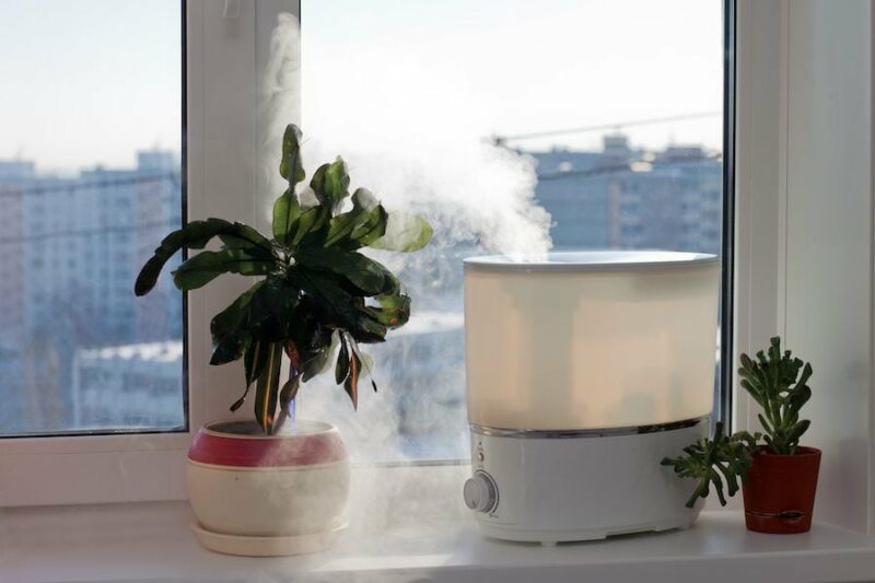 5 Ways to Improve Your Indoor Air Quality. Image shows a plant and humidifier sitting on a windowsill.